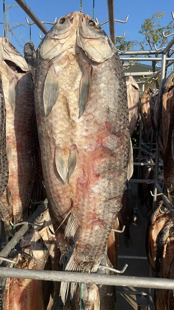 嘉善特产青鱼干自家腌制