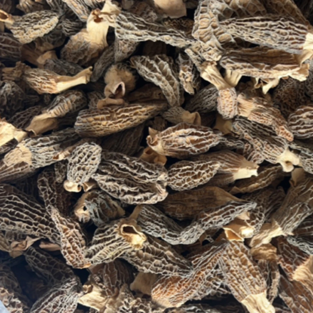 云南土特产~羊～肚～菌