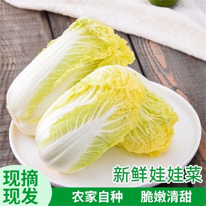【雪地霜冻】精品黄心娃娃菜3斤新鲜采摘时令蔬菜软糯甜非白菜包邮