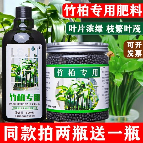 竹柏专用肥防黄叶防烂根水培植物营养液生根液驱蚊草营养液有机肥