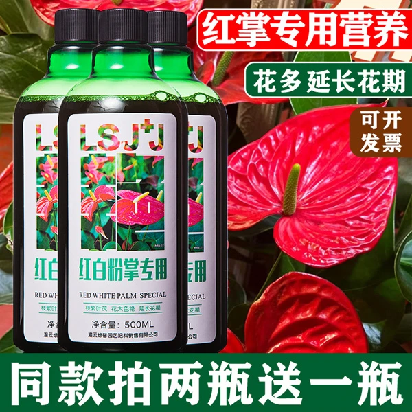 红白粉掌一帆风顺专用肥营养液水溶肥叶面肥花卉专用肥料营养液