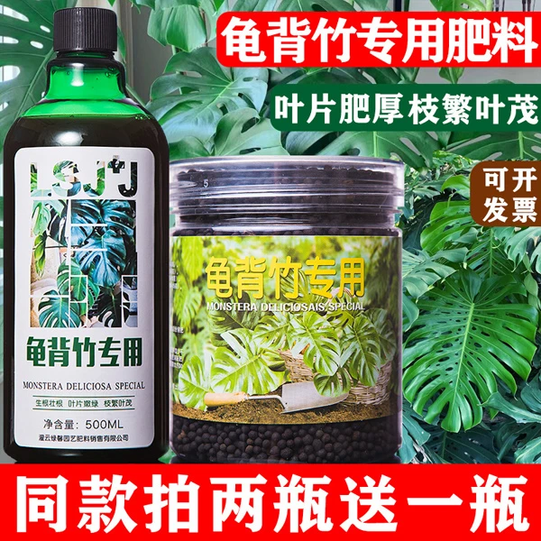 龟背竹专用肥料龟背竹营养液盆栽水培室内大叶肥叶子多孔开背专用