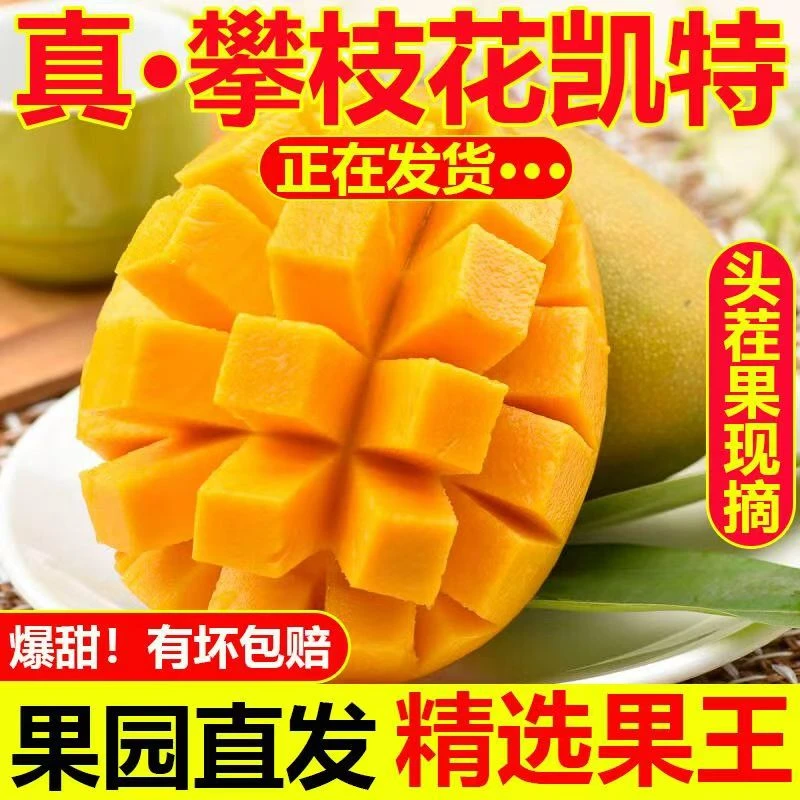 正宗攀枝花芒果新货果王正宗凯特芒果当季水果薄皮肉厚特大批发