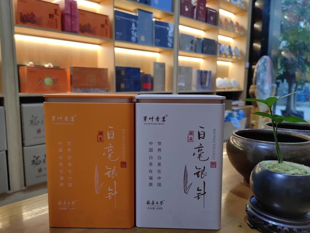 2023年福鼎白茶头采白毫银针100克罐装