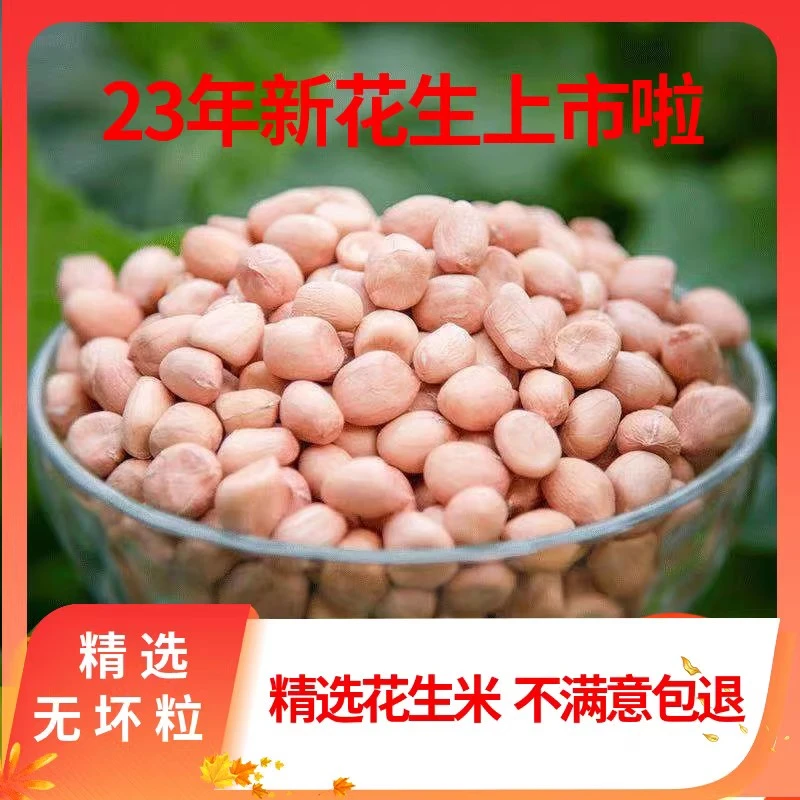 24年新鲜上市花生米生新3斤装产自正阳优质农家自产种植手工特产