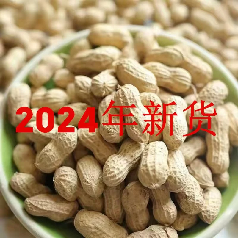 2024年农家自种自然晒干的带壳花生可做种子净重发货