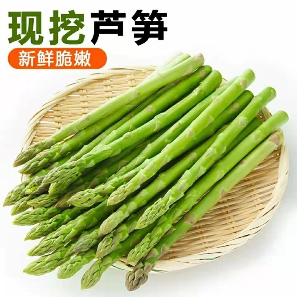 山东芦笋新鲜嫩绿青芦笋尖鲜芦笋高端农家现摘绿芦笋沙拉配菜卢笋