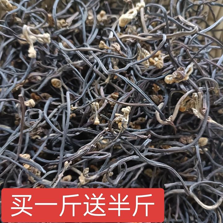 东北蕨菜干250克（买一不送，买二送一）