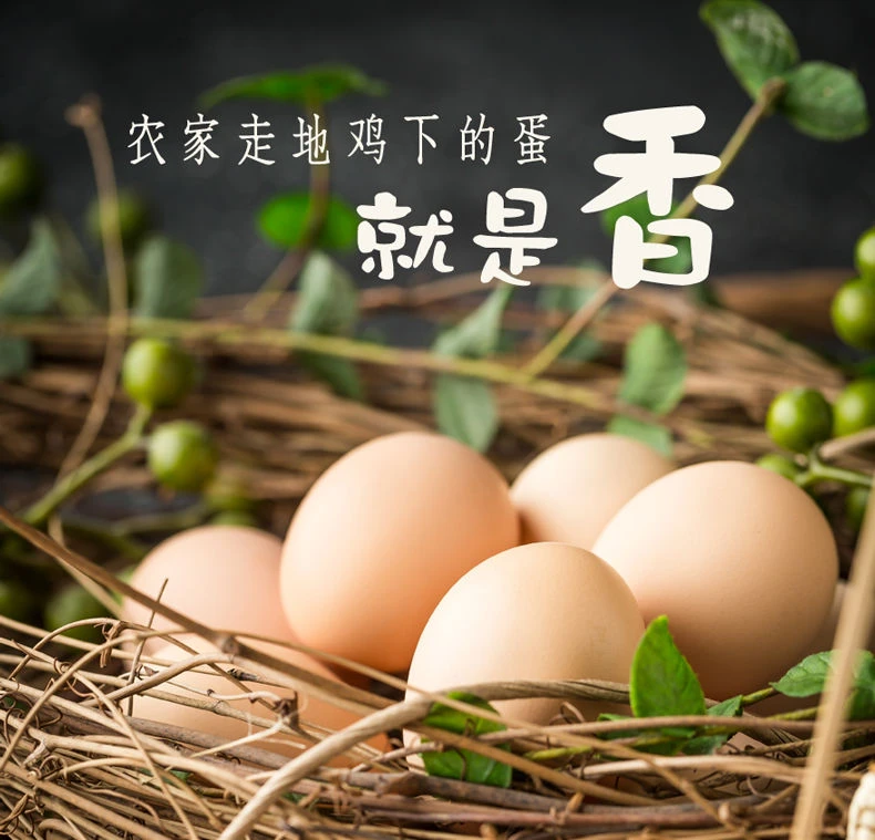 农家散养新鲜土鸡蛋批发整箱散农村蛋绿壳正宗走地鸡草营养笨鸡蛋