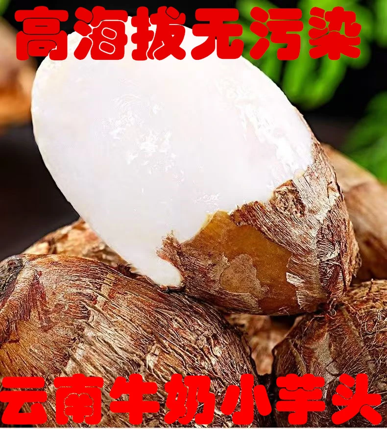 云南牛奶小芋头建水高原小芋头毛芋头1-5斤