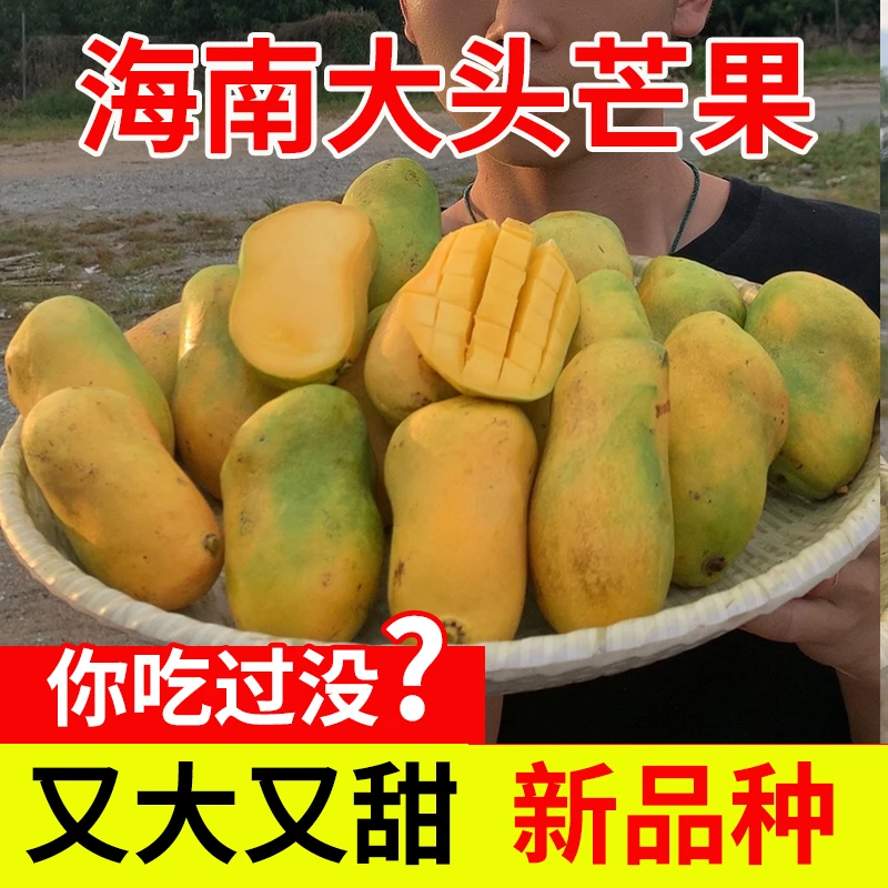 海南大头芒果新鲜采摘热带水果整箱包邮3/5/8斤成熟香甜新品种