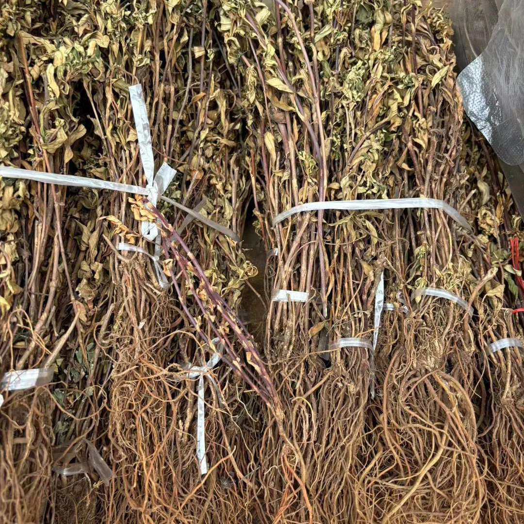 龙胆草云南特产山货苦胆草 干货