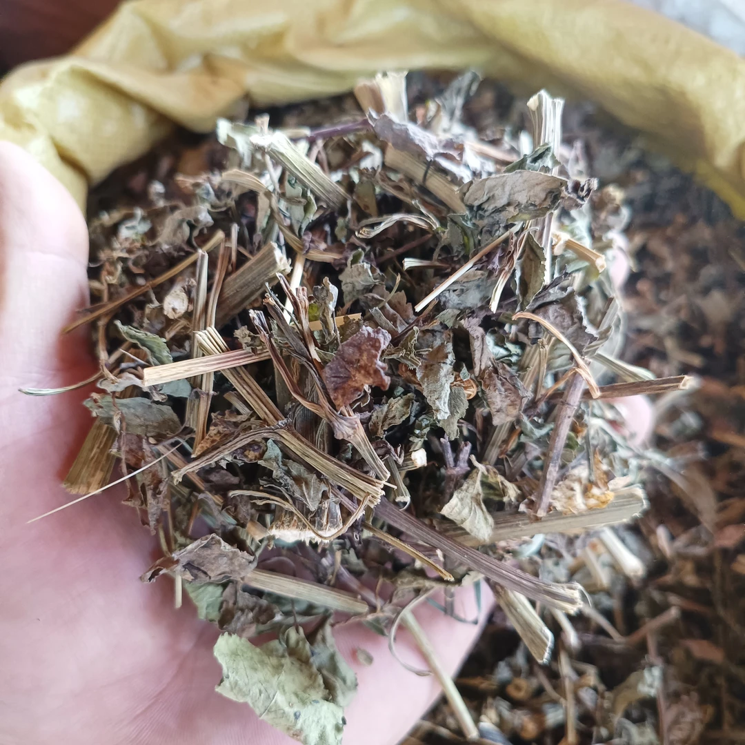 云南特产鬼针草干货自然晾晒