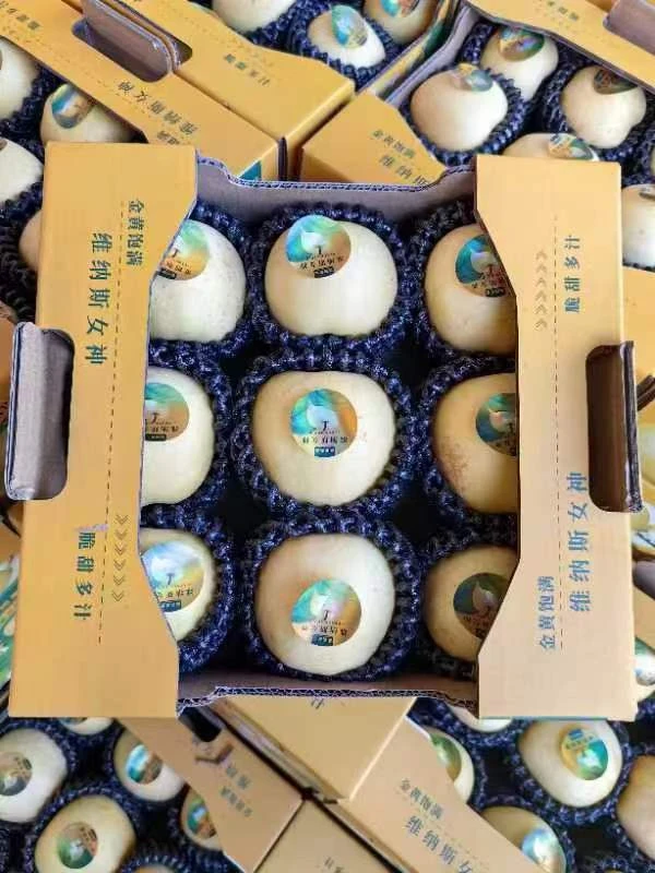 维纳斯黄金奶油苹果新鲜水果整箱富士冰糖心脆甜农产品9颗