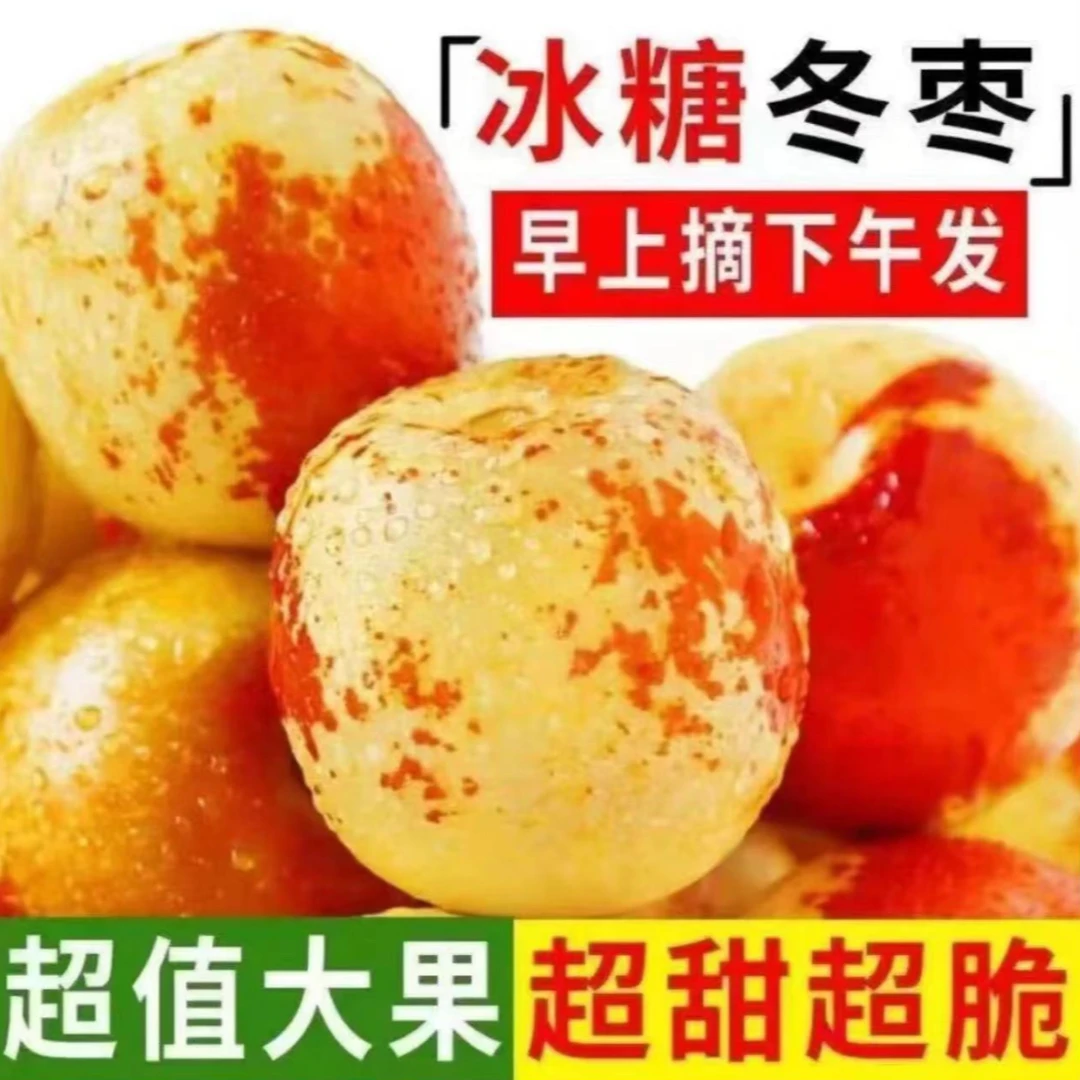 【买3斤送2斤】冬枣新鲜大枣水果应季鲜果当季现采现摘新鲜水果5斤