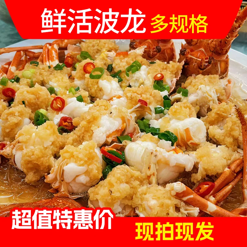 鲜活波士顿龙虾 多个规格