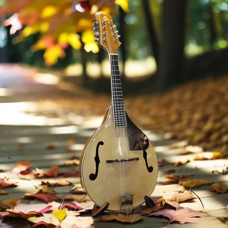 神鹰A型原木色曼陀铃乐器