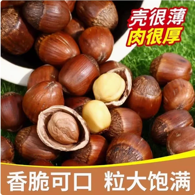 东北特产大榛子零食坚果送夹子500g/袋