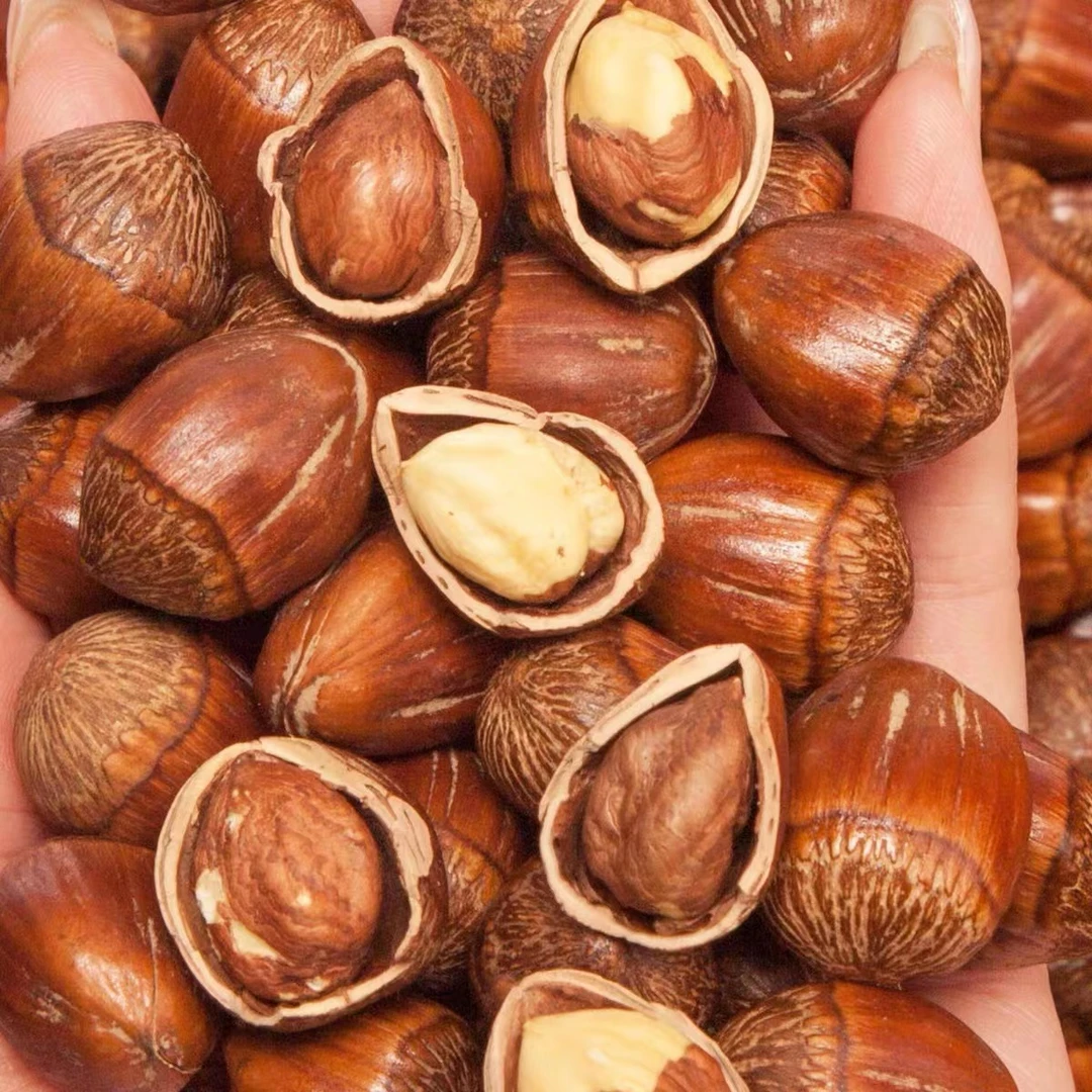 大榛子东北特产当年新货现炒精选大果皮薄榛子零食坚果食用炒货-A