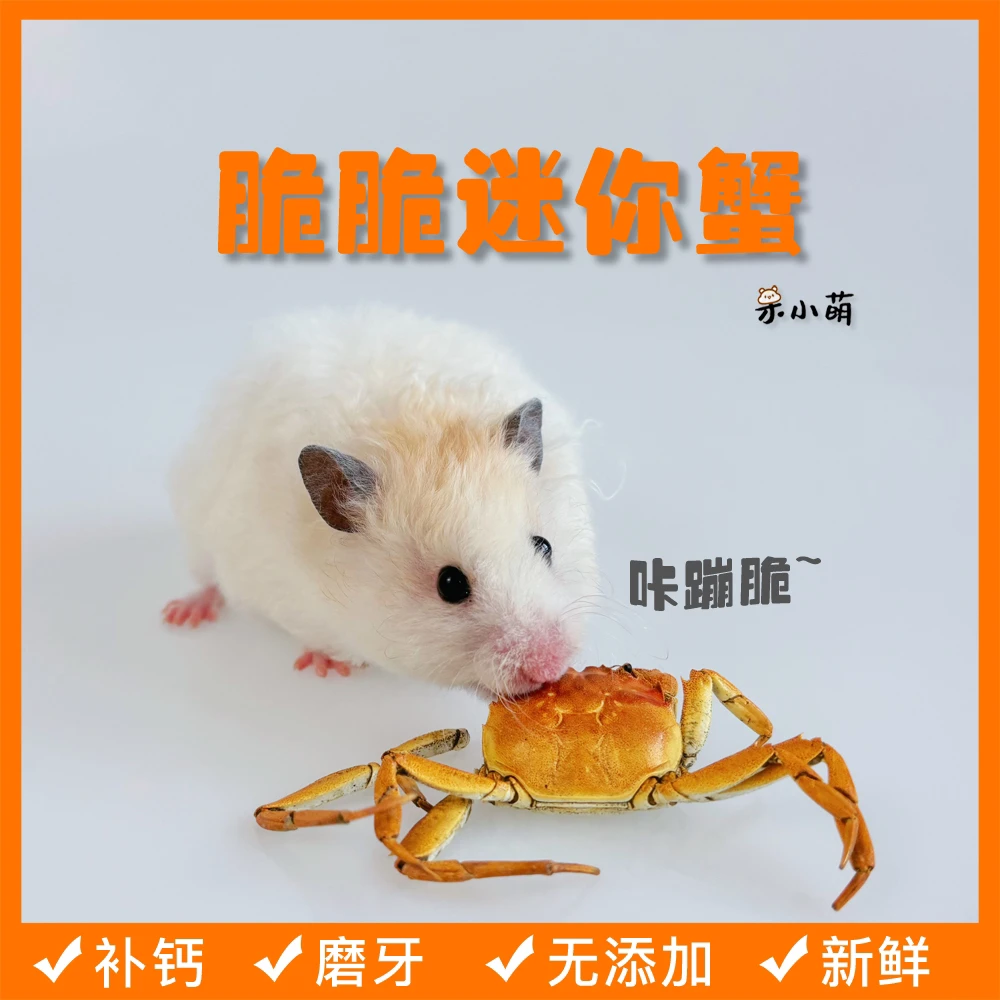 脆脆迷你螃蟹金丝熊仓鼠磨牙补钙零食仓鼠食粮宠物零食烘干小螃蟹