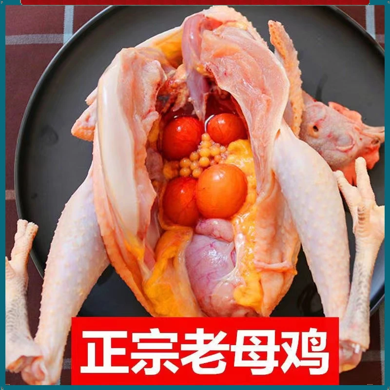 顺丰农家喂养精品3斤左右/只老母鸡散养土鸡月子鸡养殖速冻尝鲜
