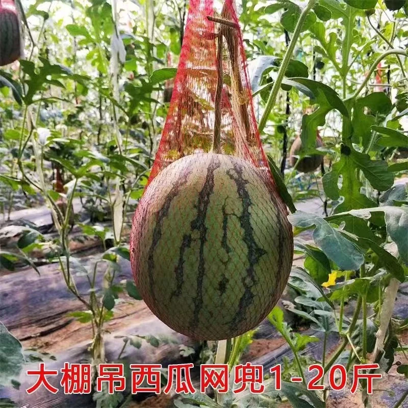 大棚吊西瓜网袋包邮挂西瓜的塑料编制袋小网眼袋套瓜尼龙带绳网袋
