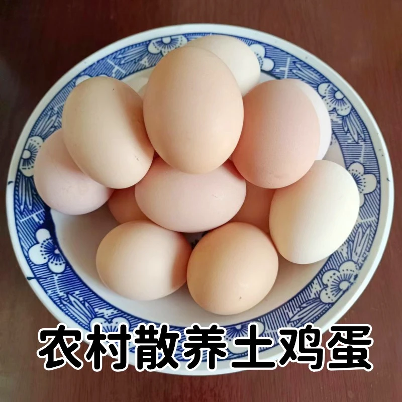 正宗笨鸡蛋农村散养土鸡蛋新鲜草鸡蛋柴鸡蛋营养健康鸡蛋50枚包邮