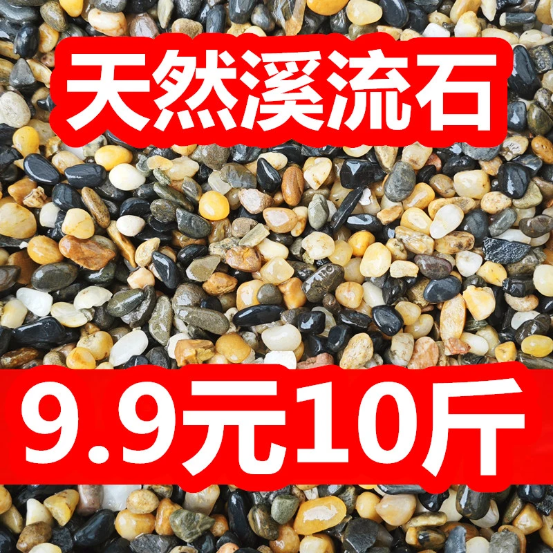 10斤天然鹅卵石溪流石鱼缸铺底造景砂水箱沼泽过滤小石子原生豆石