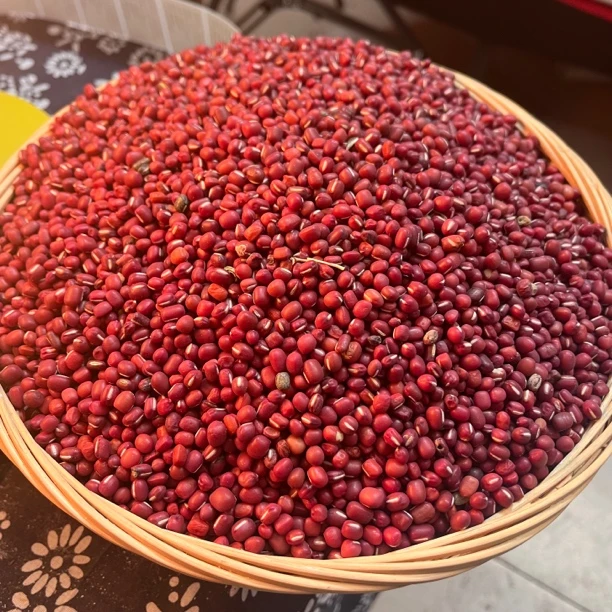 太行山梯田红小豆