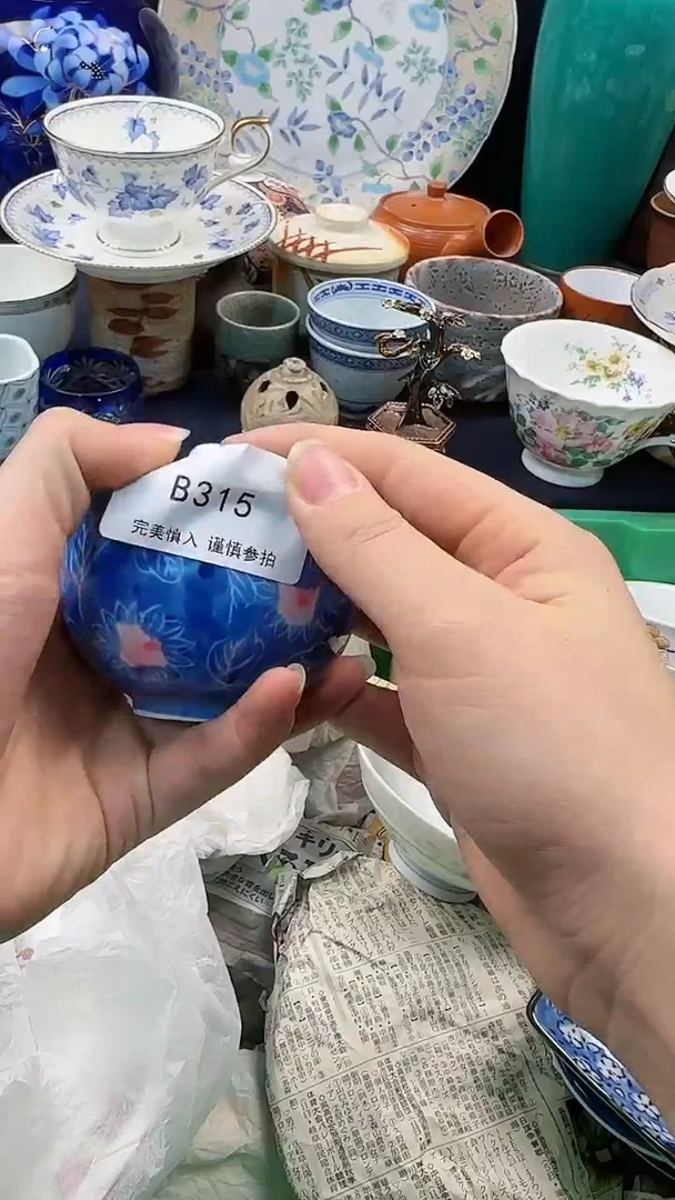 【闪购商品】WB315