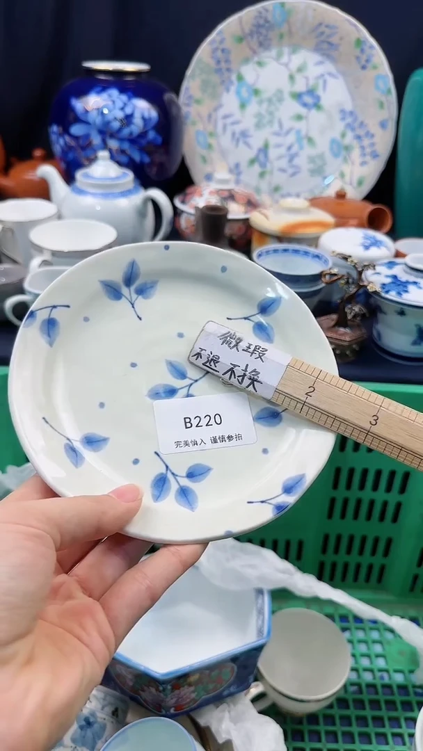 【闪购商品】WB220