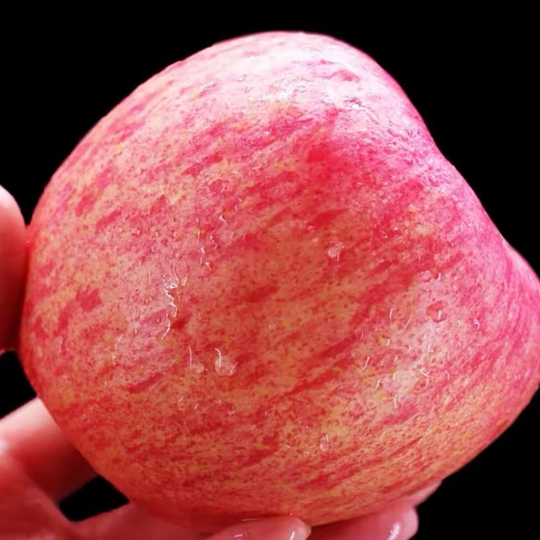 高山红富士苹果，脆甜多汁，果园直发拒绝中间商