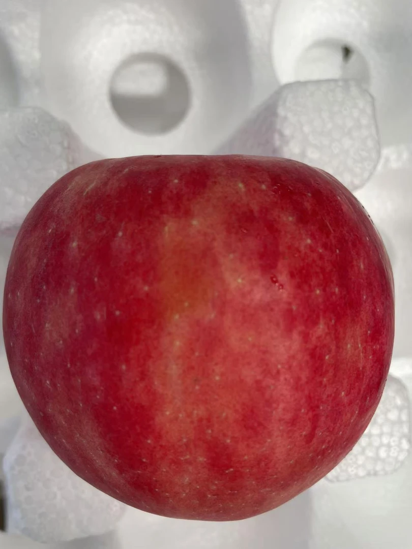 (陕西秦脆苹果)瑕疵果脆甜多汁不影响食用