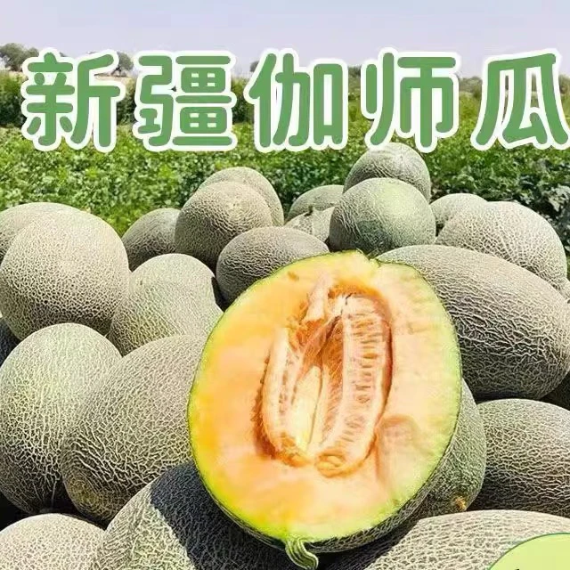 新疆喀什伽师瓜新鲜水果整箱装（新疆直发）