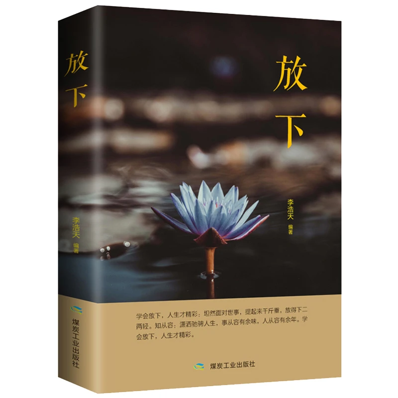 放下书籍 人生没有什么不可以 遇见未知的自己静修心的书籍自律力