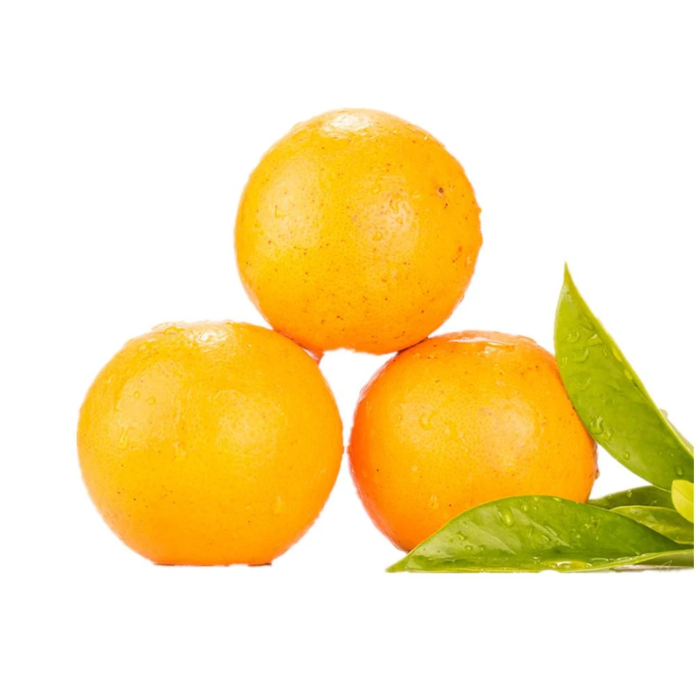 【消费帮扶大赛】麻阳冰糖橙香甜细腻皮薄浓郁多汁新鲜5斤-9斤装