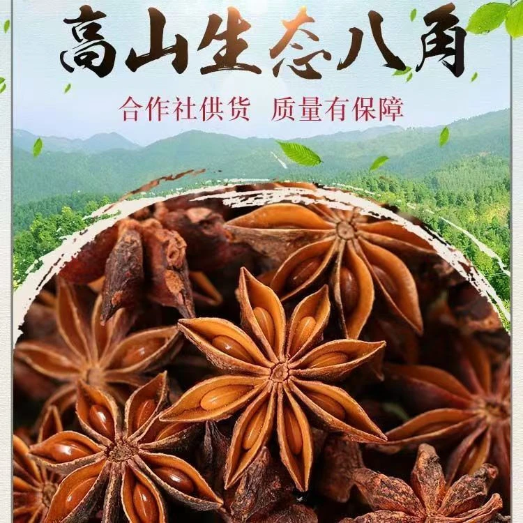 广西大红八角调料无硫调味香料卤肉卤料美食火锅调料炖肉醇香浓郁