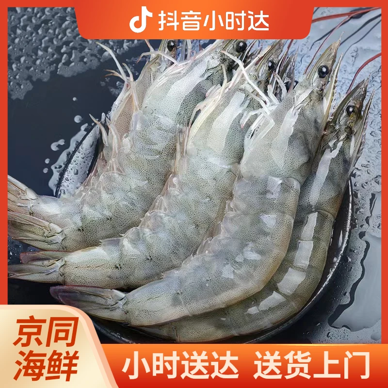 鲜活现回白虾500g(16-17只)