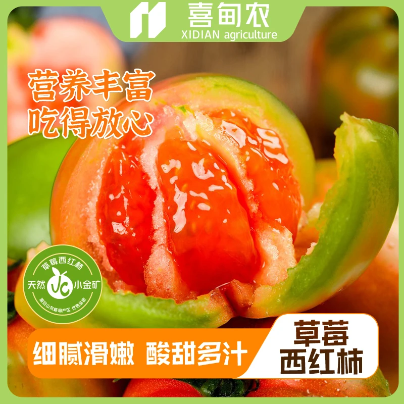 【喜甸农】正宗草莓西红柿4.5斤装/顺丰包邮新鲜应当季水果蔬菜番茄