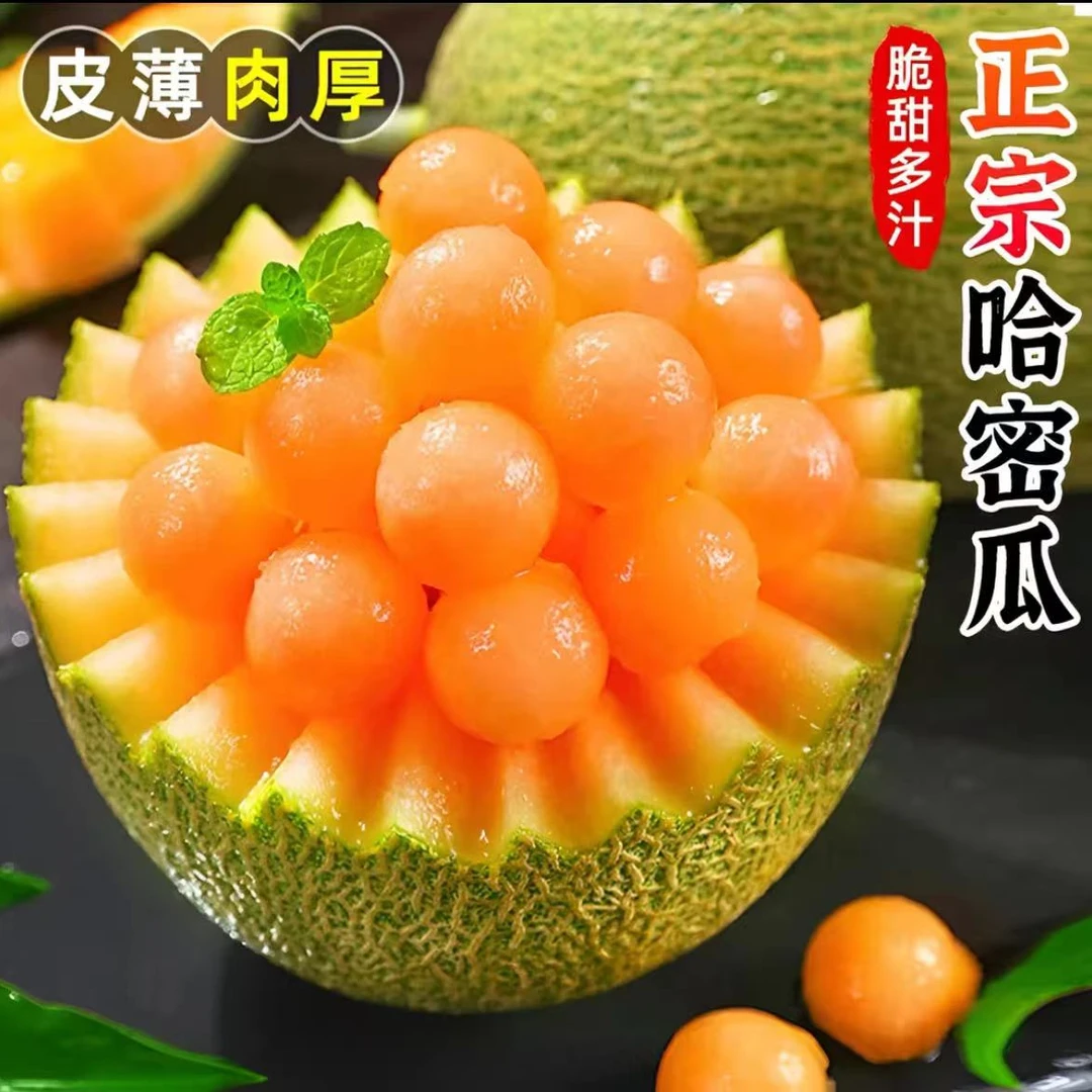 【拍一送一】山东西州蜜哈密瓜脆甜多汁现摘现发
