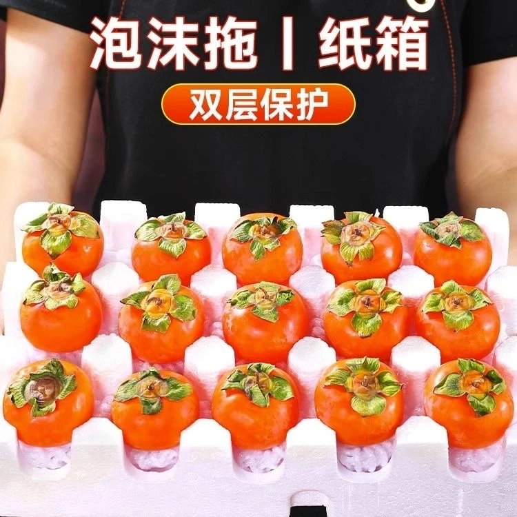 直播浮力【陕西火晶柿子】现摘现发坏果包赔生果发货需催熟放软食用