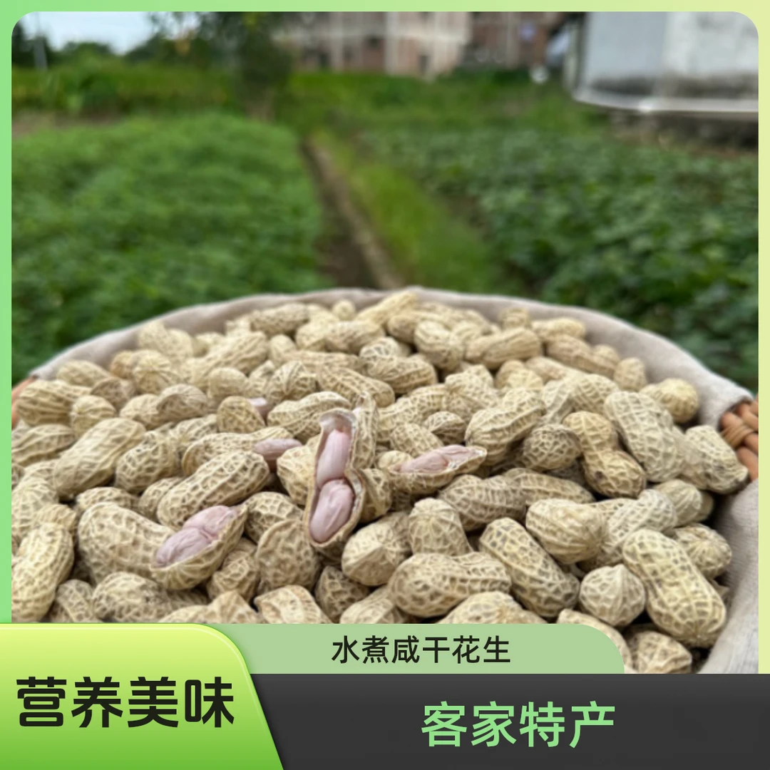 【新货】客家特产水煮咸干花生鲜甜长好吃零食花生下酒菜营养美味