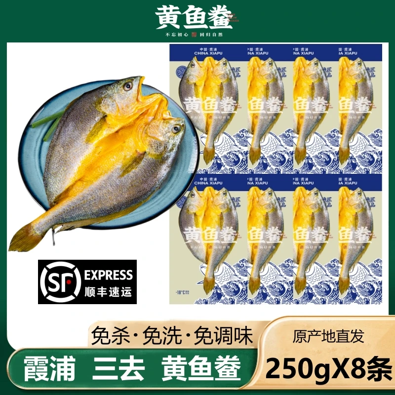【250gX8条】福建霞浦黄鱼鲞 咸香大黄鱼 宁德三去黄花鱼 新鲜冷冻