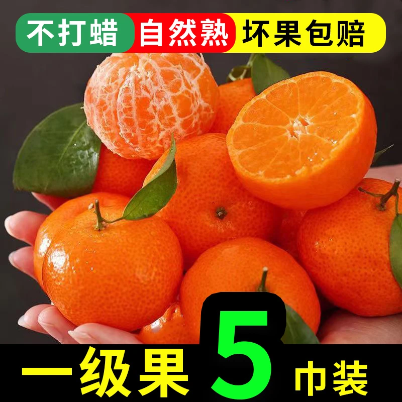 广西砂糖橘无籽皮薄整箱水果10装沃正宗多汁沙糖头茬柑橘桔子精品