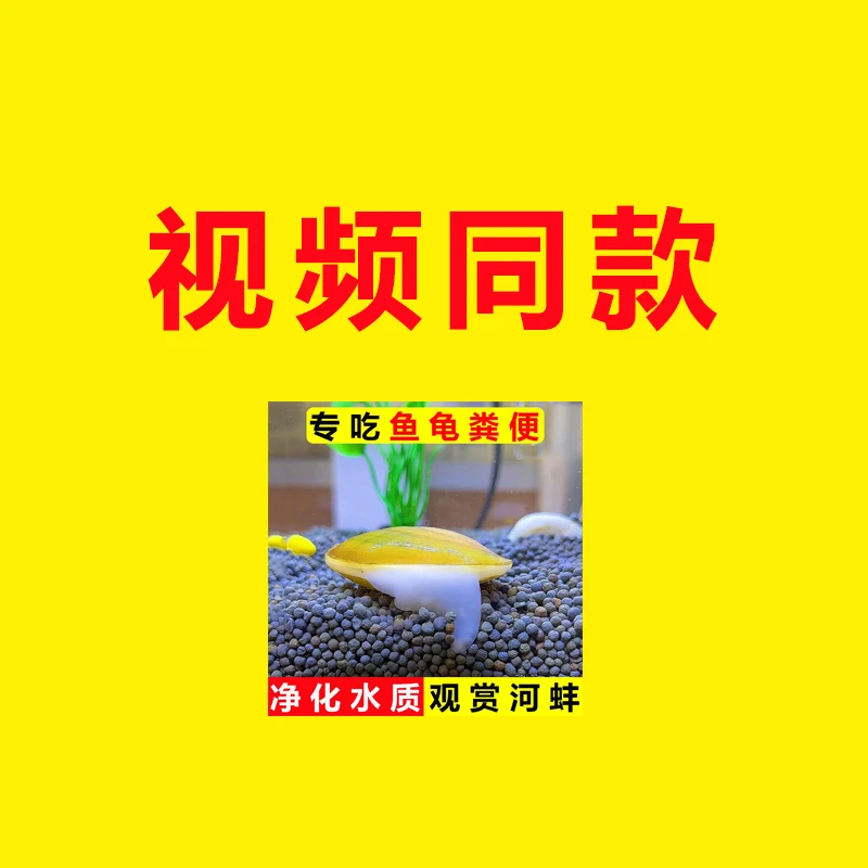 小型鱼饲料小颗粒热带斗观赏专用通用鱼食小金孔雀灯鱼幼苗活鳑鲏