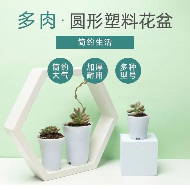 圆形万象盆多肉植物盆简约塑料玉露多肉老桩花盆加厚大号透气组合
