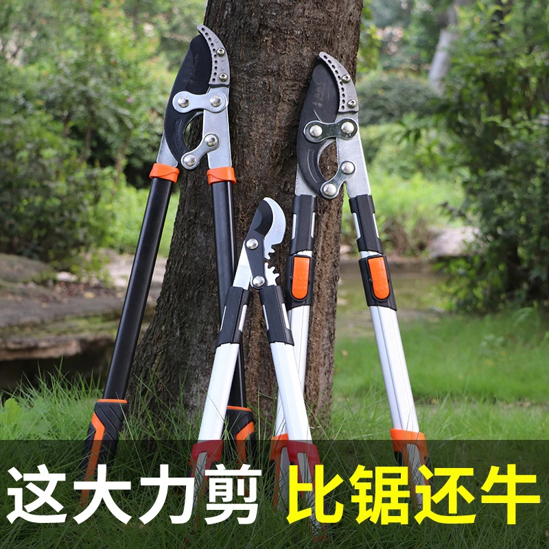 【果农推荐】高空粗枝剪伸缩剪 果树园林修枝剪刀绿化修枝修剪工具