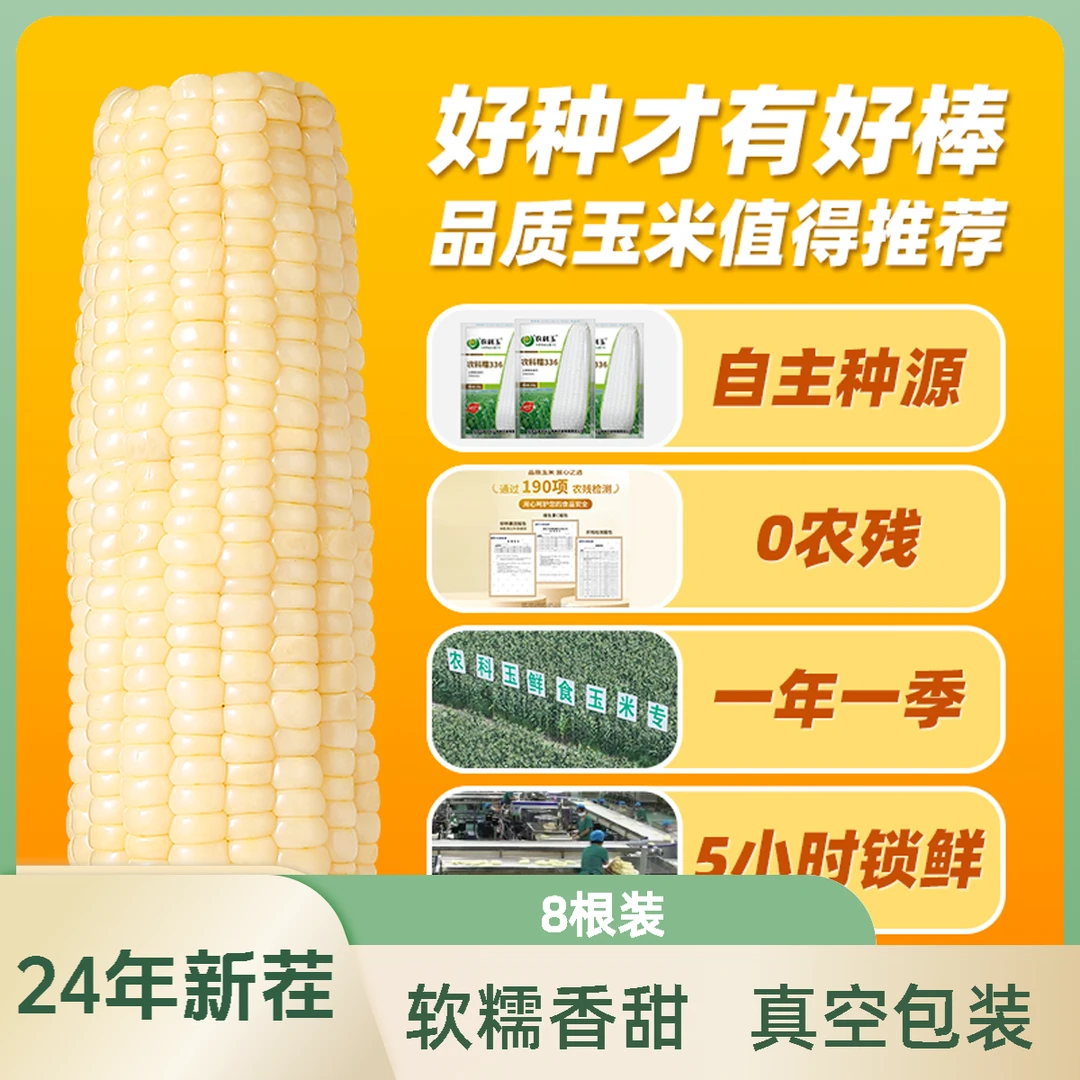 农科玉五常白甜糯260g*8根玉米真空装大棒装黑土种植 1箱2箱可选