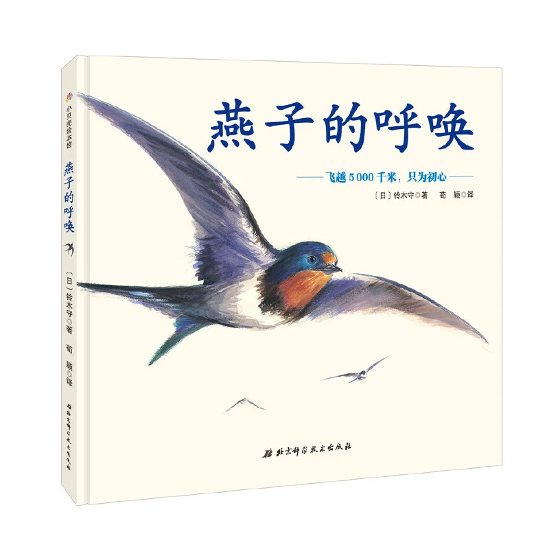 【微瑕】神奇的迁徙之旅·燕子的呼唤