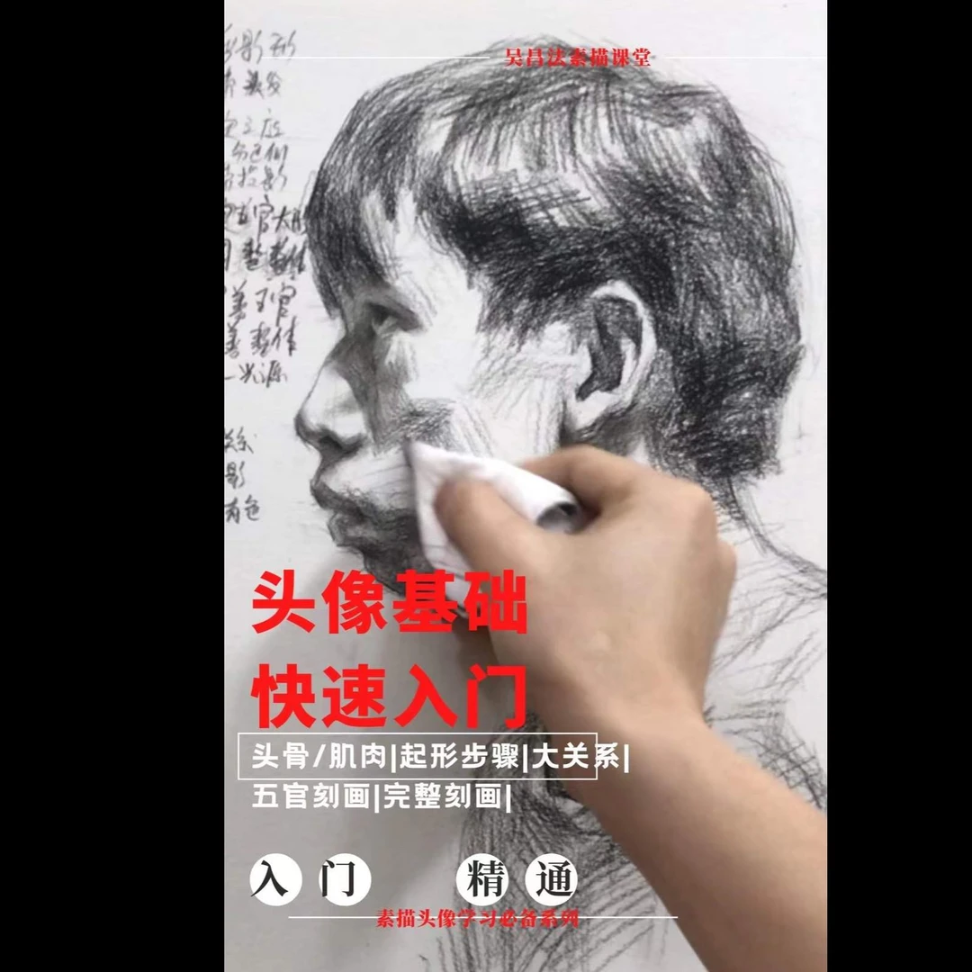 头像0基础快速专业入门/素描头像完整系统学习/五官透视/专业培训
